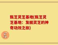 甄芝灵芝基地(甄芝灵芝基地：发掘灵芝的神奇功效之旅)