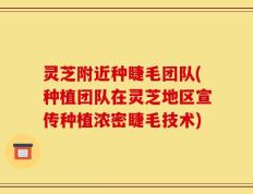 灵芝附近种睫毛团队(种植团队在灵芝地区宣传种植浓密睫毛技术)