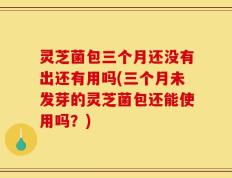 灵芝菌包三个月还没有出还有用吗(三个月未发芽的灵芝菌包还能使用吗？)