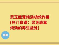 灵芝鹿茸炖汤功效作用(热门食谱：灵芝鹿茸炖汤的养生益处)