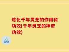 炼化千年灵芝的作用和功效(千年灵芝的神奇功效)