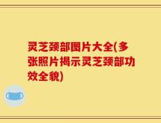 灵芝颈部图片大全(多张照片揭示灵芝颈部功效全貌)