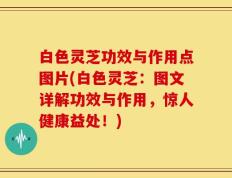 白色灵芝功效与作用点图片(白色灵芝：图文详解功效与作用，惊人健康益处！)
