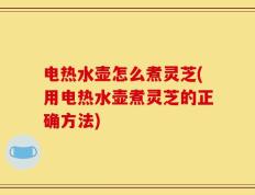 电热水壶怎么煮灵芝(用电热水壶煮灵芝的正确方法)
