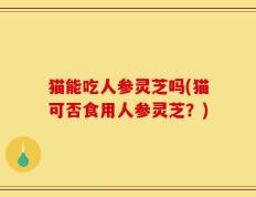 猫能吃人参灵芝吗(猫可否食用人参灵芝？)