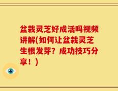 盆栽灵芝好成活吗视频讲解(如何让盆栽灵芝生根发芽？成功技巧分享！)