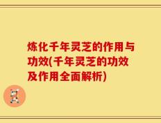 炼化千年灵芝的作用与功效(千年灵芝的功效及作用全面解析)