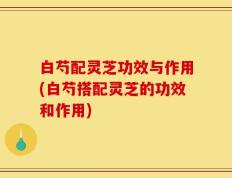 白芍配灵芝功效与作用(白芍搭配灵芝的功效和作用)