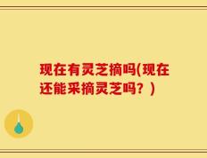 现在有灵芝摘吗(现在还能采摘灵芝吗？)