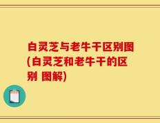 白灵芝与老牛干区别图(白灵芝和老牛干的区别 图解)