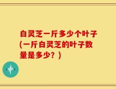 白灵芝一斤多少个叶子(一斤白灵芝的叶子数量是多少？)