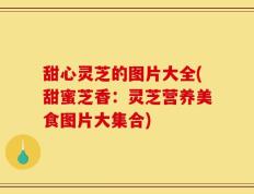 甜心灵芝的图片大全(甜蜜芝香：灵芝营养美食图片大集合)