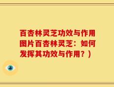 百杏林灵芝功效与作用图片百杏林灵芝：如何发挥其功效与作用？)