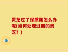 灵芝过了保质期怎么办呢(如何处理过期的灵芝？)