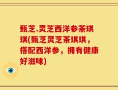 甄芝.灵芝西洋参茶琪琪(甄芝灵芝茶琪琪，搭配西洋参，拥有健康好滋味)