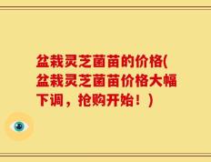 盆栽灵芝菌苗的价格(盆栽灵芝菌苗价格大幅下调，抢购开始！)
