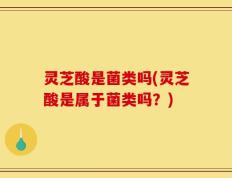灵芝酸是菌类吗(灵芝酸是属于菌类吗？)