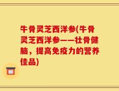牛骨灵芝西洋参(牛骨灵芝西洋参——壮骨健脑，提高免疫力的营养佳品)
