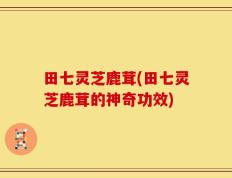 田七灵芝鹿茸(田七灵芝鹿茸的神奇功效)