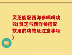 灵芝能配西洋参喝吗功效(灵芝与西洋参搭配饮用的功效及注意事项)