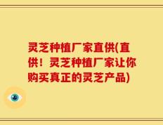 灵芝种植厂家直供(直供！灵芝种植厂家让你购买真正的灵芝产品)