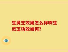 生灵芝效果怎么样啊生灵芝功效如何？