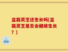 盆栽灵芝还生长吗(盆栽灵芝是否会继续生长？)