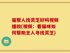猫帮人找灵芝好吗视频播放(视频：看猫咪如何帮助主人寻找灵芝)