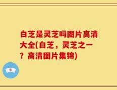白芝是灵芝吗图片高清大全(白芝，灵芝之一？高清图片集锦)