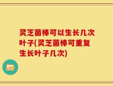 灵芝菌棒可以生长几次叶子(灵芝菌棒可重复生长叶子几次)