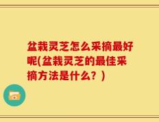 盆栽灵芝怎么采摘最好呢(盆栽灵芝的最佳采摘方法是什么？)