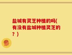 盐城有灵芝种植的吗(有没有盐城种植灵芝的？)