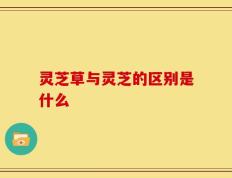 灵芝草与灵芝的区别是什么