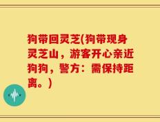 狗带回灵芝(狗带现身灵芝山，游客开心亲近狗狗，警方：需保持距离。)