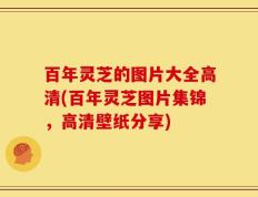 百年灵芝的图片大全高清(百年灵芝图片集锦，高清壁纸分享)