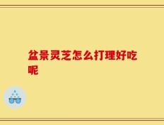 盆景灵芝怎么打理好吃呢