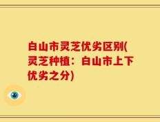 白山市灵芝优劣区别(灵芝种植：白山市上下优劣之分)