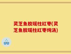 灵芝鱼胶瑶柱红枣(灵芝鱼胶瑶柱红枣炖汤)