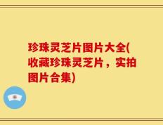 珍珠灵芝片图片大全(收藏珍珠灵芝片，实拍图片合集)