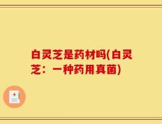 白灵芝是药材吗(白灵芝：一种药用真菌)