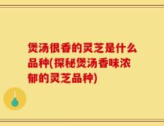 煲汤很香的灵芝是什么品种(探秘煲汤香味浓郁的灵芝品种)