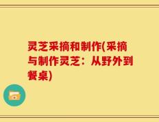 灵芝采摘和制作(采摘与制作灵芝：从野外到餐桌)