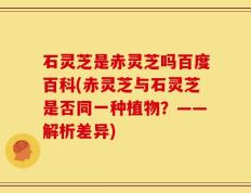 石灵芝是赤灵芝吗百度百科(赤灵芝与石灵芝是否同一种植物？——解析差异)
