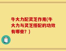 牛大力配灵芝作用(牛大力与灵芝搭配的功效有哪些？)