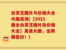 白灵芝图片与价格大全大图高清(【2021最全白灵芝图片及价格大全】高清大图，全网最低价！)
