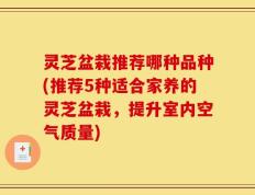 灵芝盆栽推荐哪种品种(推荐5种适合家养的灵芝盆栽，提升室内空气质量)