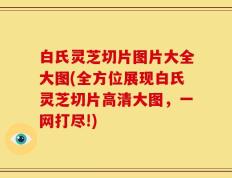白氏灵芝切片图片大全大图(全方位展现白氏灵芝切片高清大图，一网打尽!)