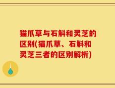 猫爪草与石斛和灵芝的区别(猫爪草、石斛和灵芝三者的区别解析)