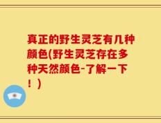 真正的野生灵芝有几种颜色(野生灵芝存在多种天然颜色-了解一下！)