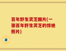百年野生灵芝图片(一张百年野生灵芝的惊艳照片)